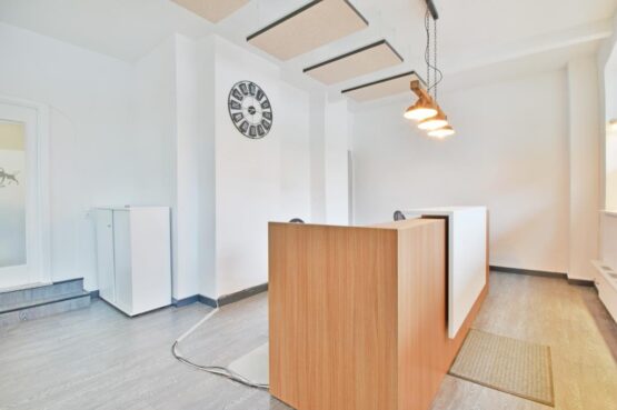 In zentraler Lage von Hamburg-Horn: „Gut geschnittene Gewerbefläche mit viel Tageslicht“, 22111 Hamburg, Bürohaus